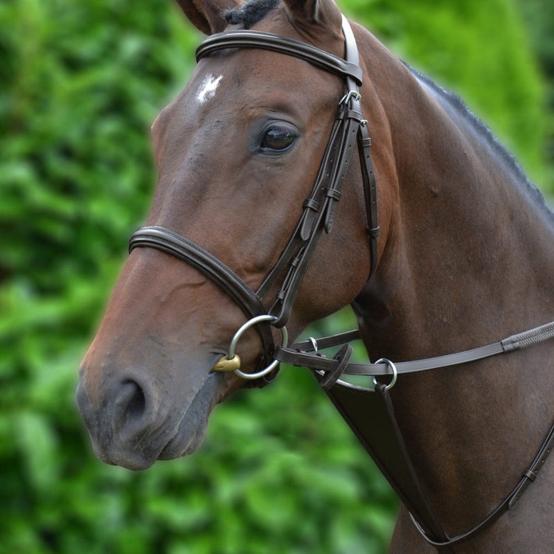 Load image into Gallery viewer, Hy Equestrian Bib Martingale Brown - Ashurst Equestrian &amp; Country
