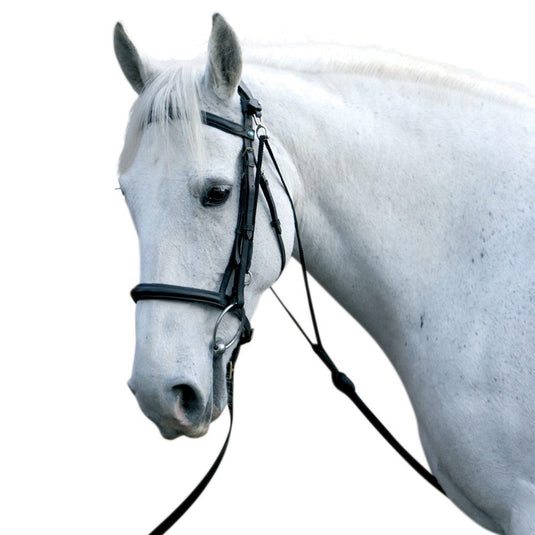 Hy Equestrian Chambon - Ashurst Equestrian & Country