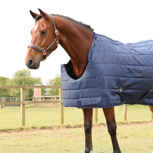 Hy Equestrian Chest Protector Navy - Ashurst Equestrian & Country