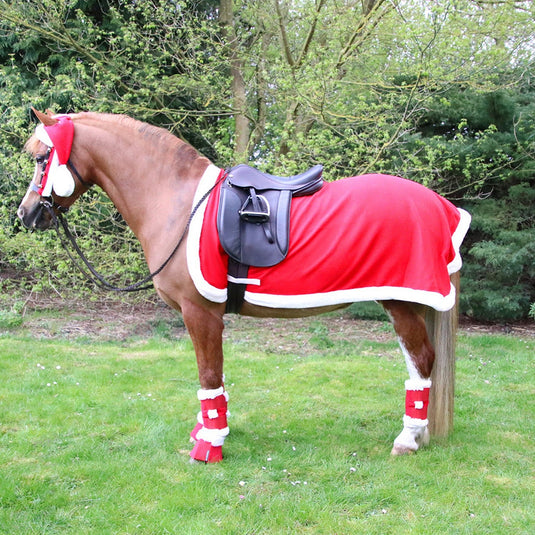 Hy Equestrian Christmas Santa Exercise Sheet Red/White - Ashurst Equestrian & Country