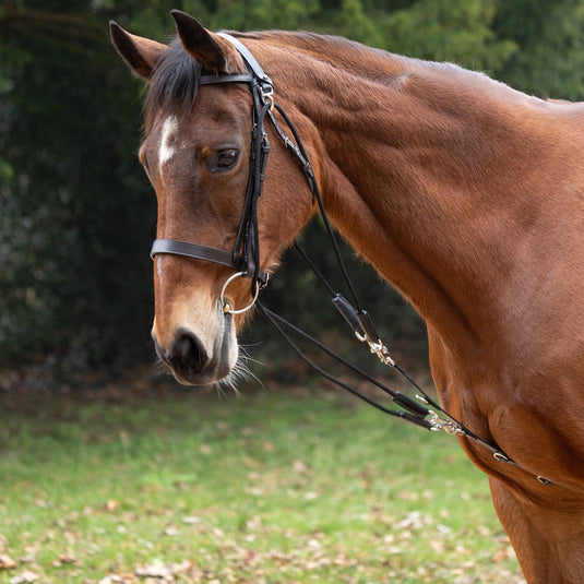 Hy Equestrian De Gouge Black - Ashurst Equestrian & Country