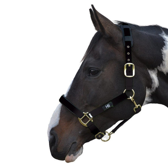 Hy Equestrian Deluxe Padded Headcollar Black - Ashurst Equestrian & Country