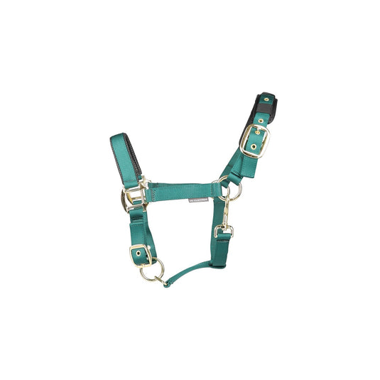Hy Equestrian Deluxe Padded Headcollar Bottle Green - Ashurst Equestrian & Country