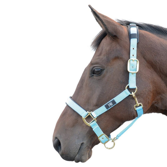 Hy Equestrian Deluxe Padded Headcollar Bright Blue - Ashurst Equestrian & Country