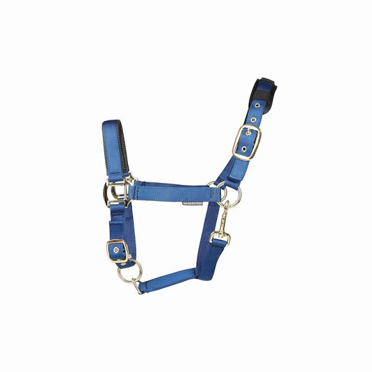 Hy Equestrian Deluxe Padded Headcollar Navy - Ashurst Equestrian & Country