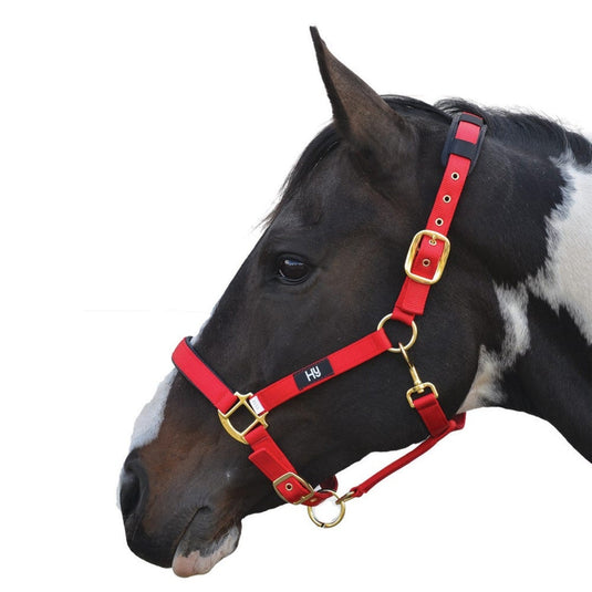 Hy Equestrian Deluxe Padded Headcollar Red - Ashurst Equestrian & Country