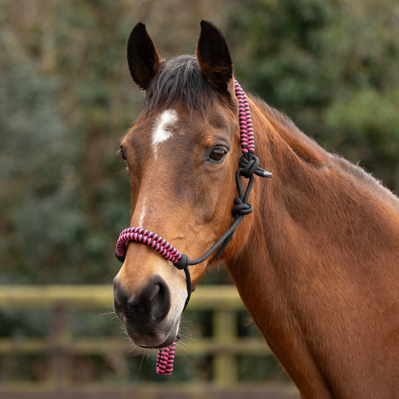 Load image into Gallery viewer, Hy Equestrian Double Braid Rope Halter - Ashurst Equestrian &amp; Country
