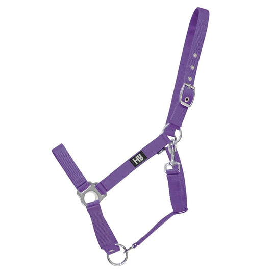 Hy Equestrian Economy Plus Headcollar Purple - Ashurst Equestrian & Country