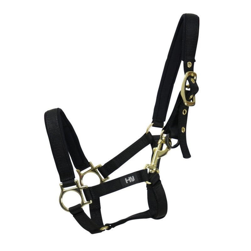 Load image into Gallery viewer, Hy Equestrian Fieldsafe Headcollar Black - Ashurst Equestrian &amp; Country
