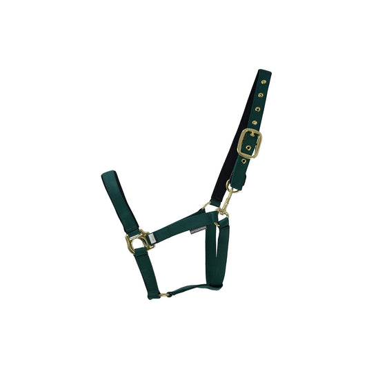 Hy Equestrian Fieldsafe Headcollar Green - Ashurst Equestrian & Country