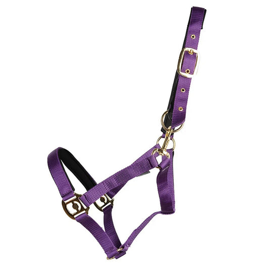 Hy Equestrian Fieldsafe Headcollar Purple - Ashurst Equestrian & Country