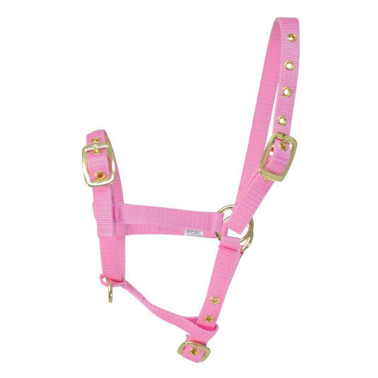 Hy Equestrian Foal Headcollar - Ashurst Equestrian & Country