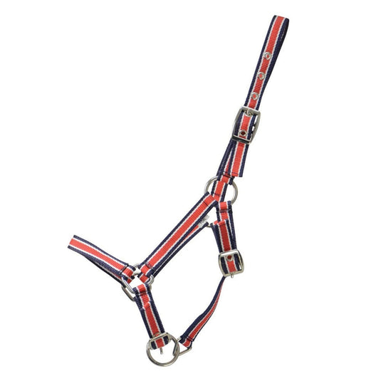 Hy Equestrian Foal Plus Headcollar Red/Navy - Ashurst Equestrian & Country