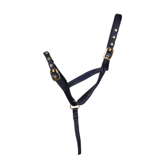 Hy Equestrian Foal Slip Halter - Ashurst Equestrian & Country