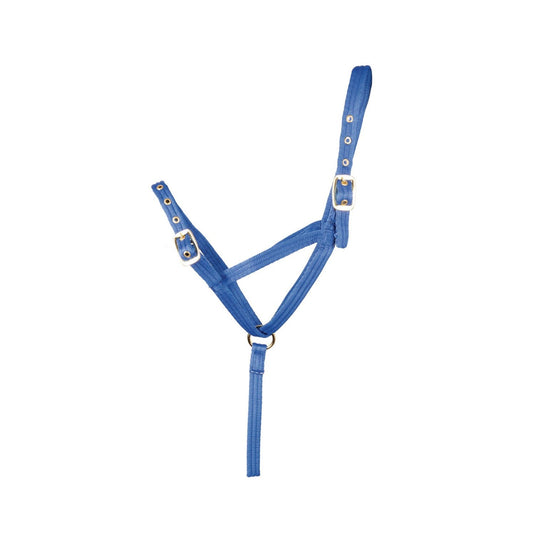 Hy Equestrian Foal Slip Halter - Ashurst Equestrian & Country