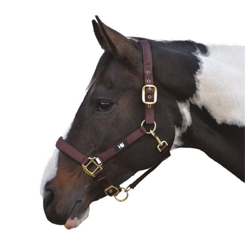 Load image into Gallery viewer, Hy Equestrian Grand Prix Headcollar Chocolate Brown - Ashurst Equestrian &amp; Country
