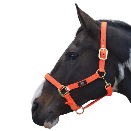 Hy Equestrian Grand Prix Headcollar Hot Orange - Ashurst Equestrian & Country