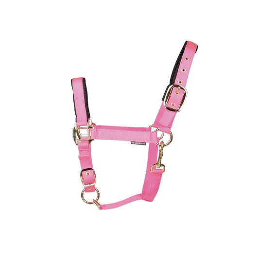Hy Equestrian Grand Prix Headcollar Hot Pink - Ashurst Equestrian & Country