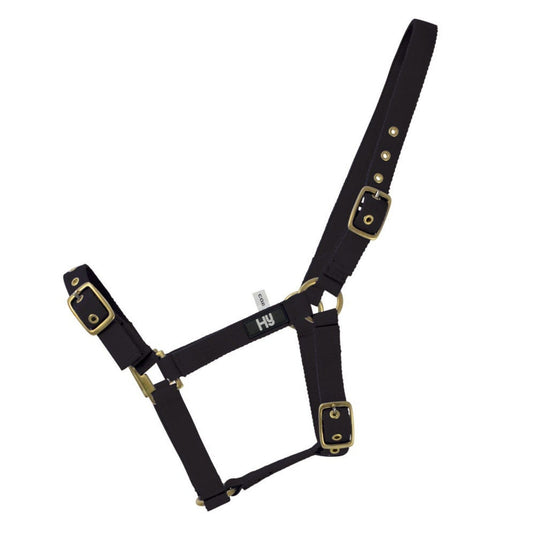 Hy Equestrian Holly Fully Adjustable Headcollar Black - Ashurst Equestrian & Country
