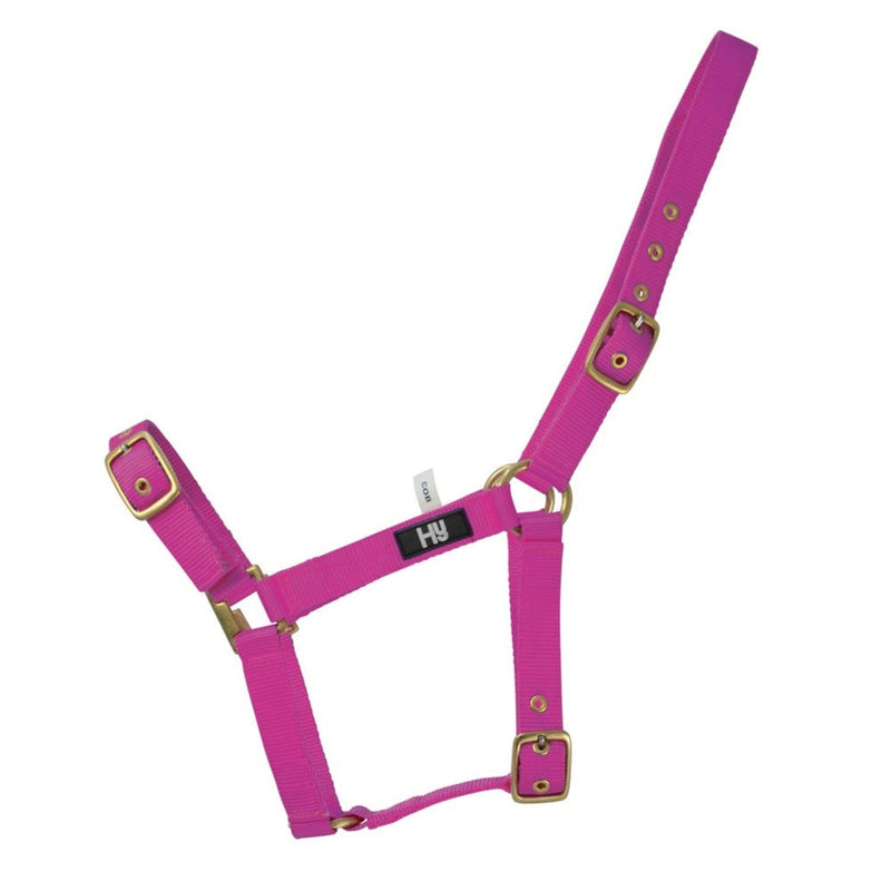 Load image into Gallery viewer, Hy Equestrian Holly Fully Adjustable Headcollar Fuchsia - Ashurst Equestrian &amp; Country
