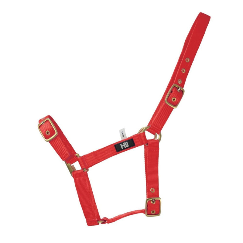 Load image into Gallery viewer, Hy Equestrian Holly Fully Adjustable Headcollar Red - Ashurst Equestrian &amp; Country

