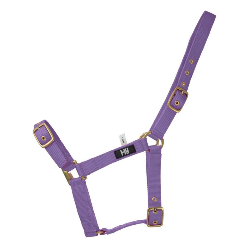 Load image into Gallery viewer, Hy Equestrian Holly Fully Adjustable Headcollar Royal - Ashurst Equestrian &amp; Country
