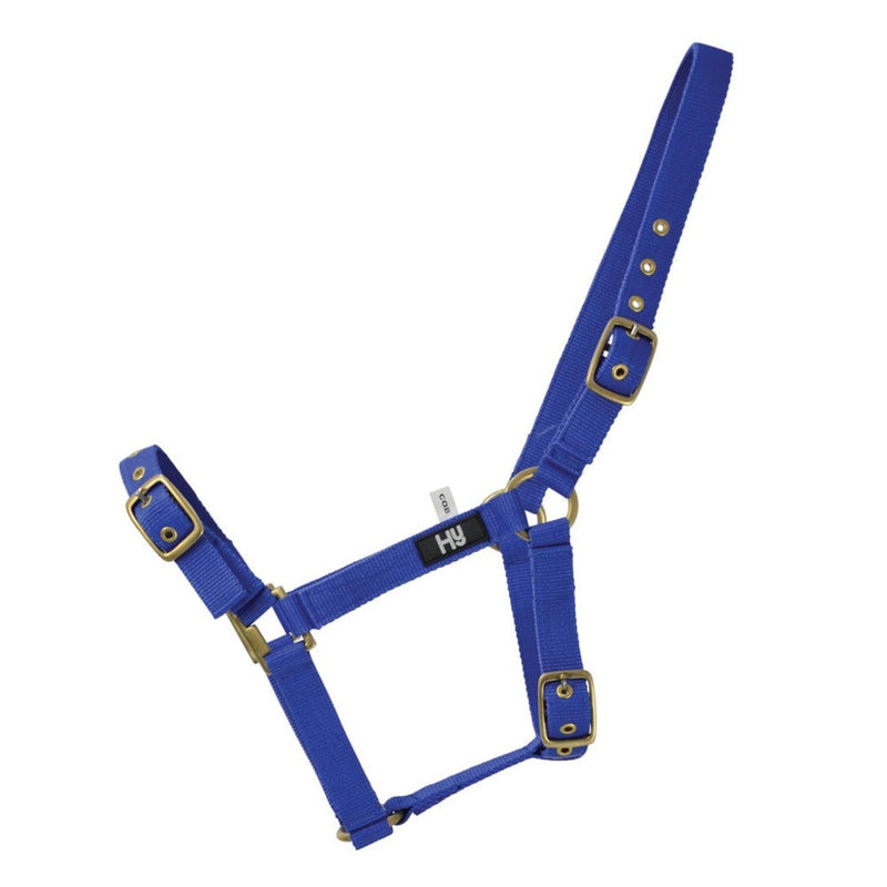 Load image into Gallery viewer, Hy Equestrian Holly Fully Adjustable Headcollar Royal - Ashurst Equestrian &amp; Country
