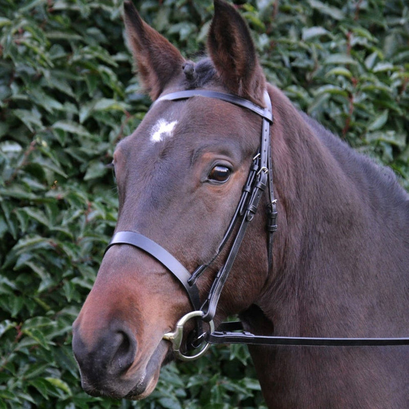 Load image into Gallery viewer, Hy Equestrian Hunter Bridle With Rubber Grip Reins Black - Ashurst Equestrian &amp; Country
