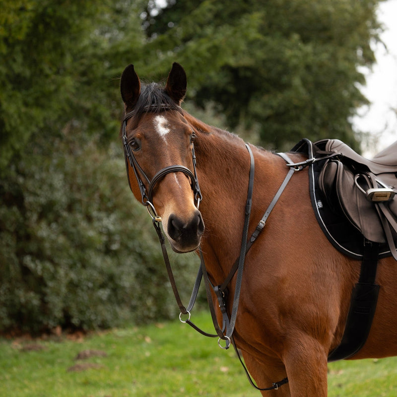 Load image into Gallery viewer, Hy Equestrian Hunting Breastplate Brown - Ashurst Equestrian &amp; Country
