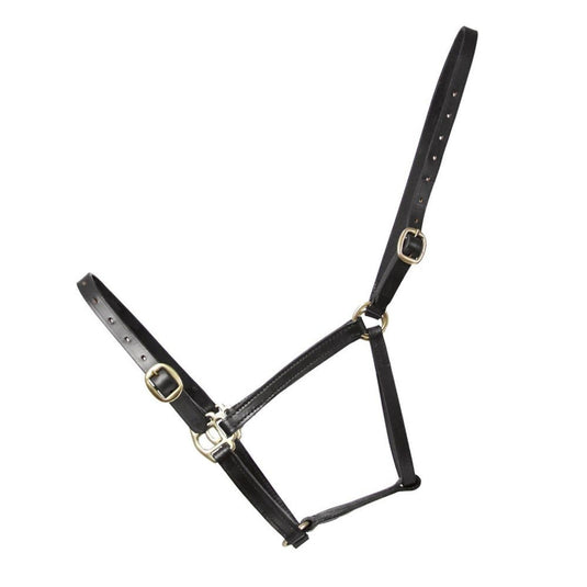 Hy Equestrian Leather Foal Headcollar - Ashurst Equestrian & Country
