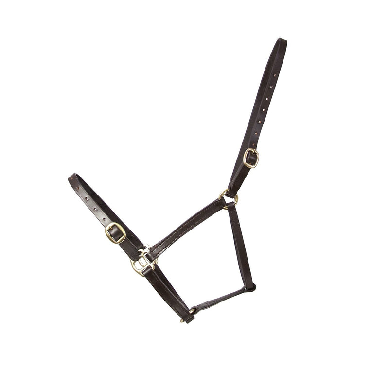 Load image into Gallery viewer, Hy Equestrian Leather Foal Headcollar - Ashurst Equestrian &amp; Country
