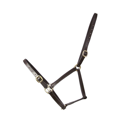 Hy Equestrian Leather Foal Headcollar - Ashurst Equestrian & Country