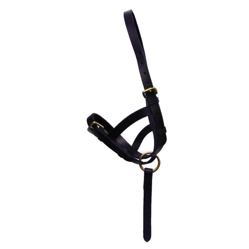 Load image into Gallery viewer, Hy Equestrian Leather Foal Slip Black - Ashurst Equestrian &amp; Country
