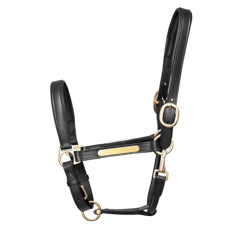 Load image into Gallery viewer, Hy Equestrian Leather Headcollar - Ashurst Equestrian &amp; Country
