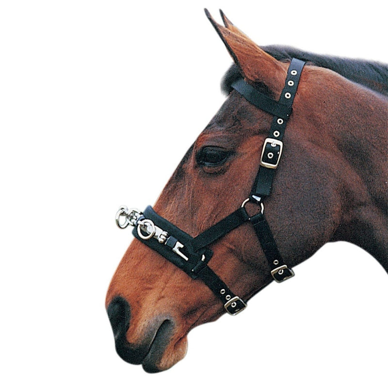 Load image into Gallery viewer, Hy Equestrian Lunge Cavesson Black - Ashurst Equestrian &amp; Country
