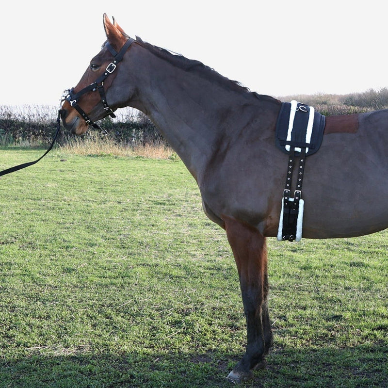Load image into Gallery viewer, Hy Equestrian Lunge Roller Black - Ashurst Equestrian &amp; Country
