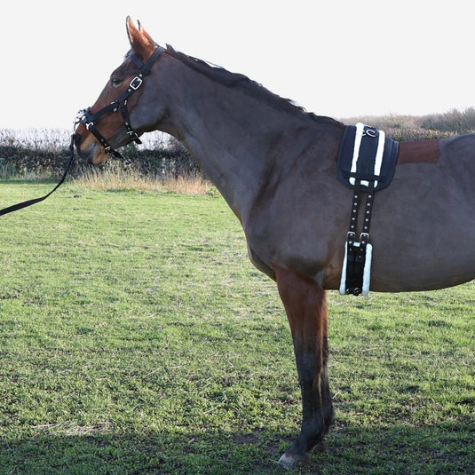 Hy Equestrian Lunge Roller Black - Ashurst Equestrian & Country