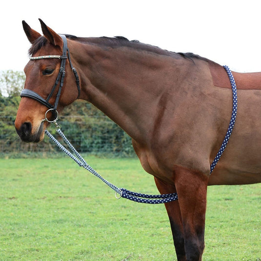 Hy Equestrian Lunging Aid - Ashurst Equestrian & Country