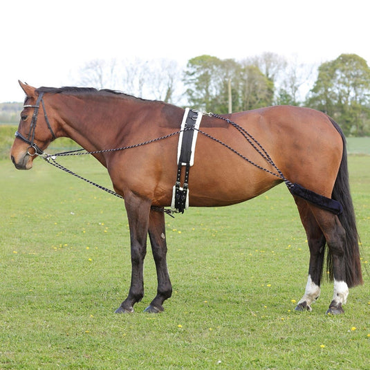 Hy Equestrian Lunging System Navy/Grey - Ashurst Equestrian & Country