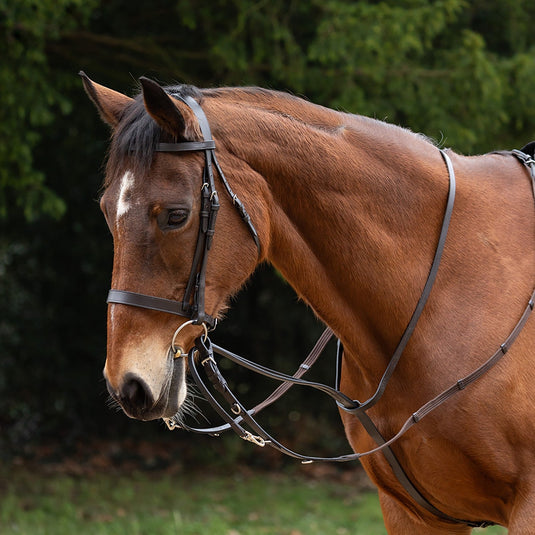 Hy Equestrian Market Harborough - Ashurst Equestrian & Country