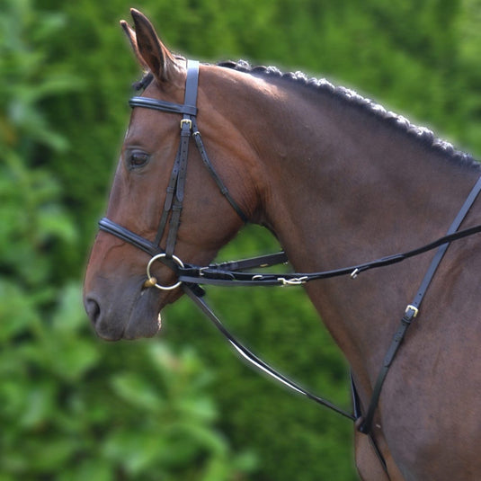 Hy Equestrian Market Harborough - Ashurst Equestrian & Country