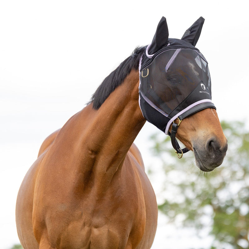 Load image into Gallery viewer, Hy Equestrian Mesh Half Mask With Ears Blk/Lac - Ashurst Equestrian &amp; Country
