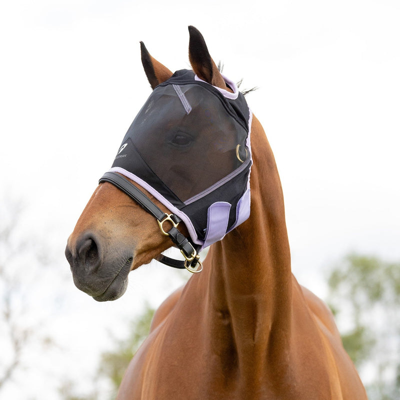 Load image into Gallery viewer, Hy Equestrian Mesh Half Mask Without Ears Blk/Lac - Ashurst Equestrian &amp; Country
