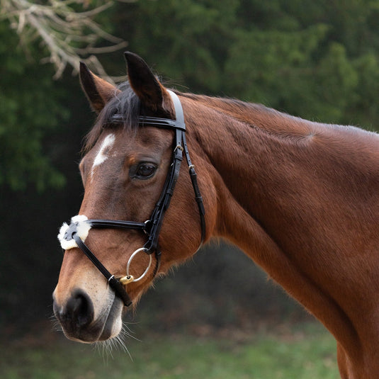 Hy Equestrian Mexican Grackle With Rubber Grip Reins Black - Ashurst Equestrian & Country