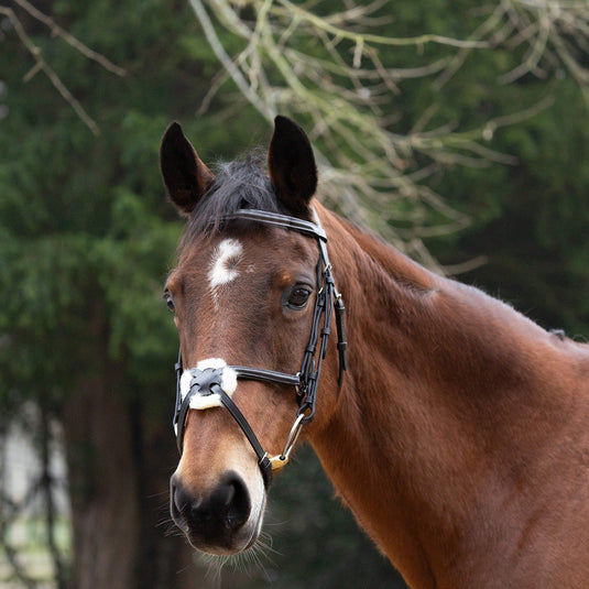Hy Equestrian Mexican Grackle With Rubber Grip Reins Brown - Ashurst Equestrian & Country
