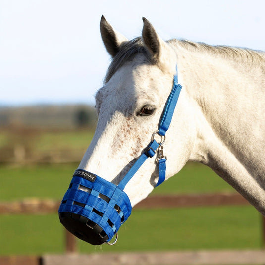 Hy Equestrian Muzzle Blue - Ashurst Equestrian & Country