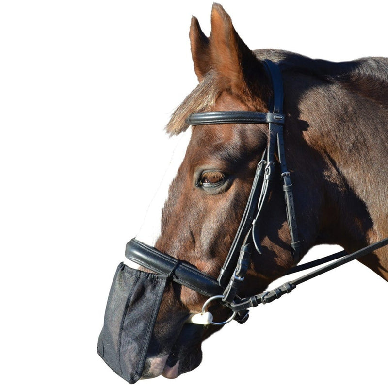 Load image into Gallery viewer, Hy Equestrian Nose Shield - Ashurst Equestrian &amp; Country
