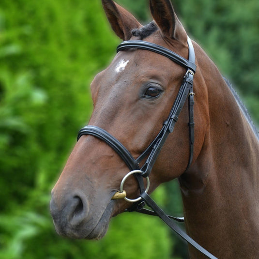 Hy Equestrian Padded Cavesson Bridle/Rubber Grip Reins Black - Ashurst Equestrian & Country