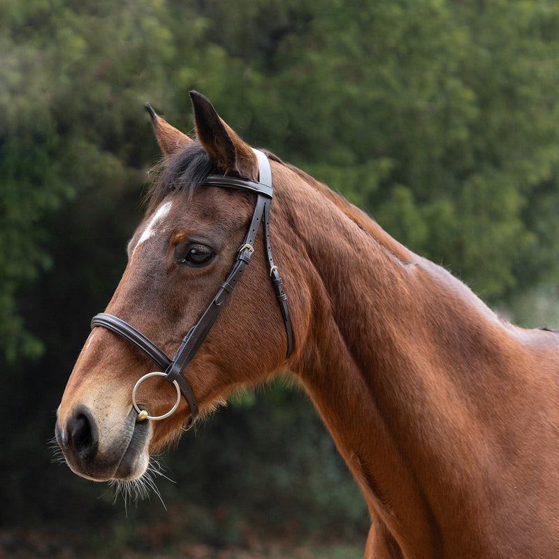 Load image into Gallery viewer, Hy Equestrian Padded Cavesson Bridle/Rubber Grip Reins Brown - Ashurst Equestrian &amp; Country
