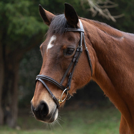 Hy Equestrian Padded Flash Bridle With Rubber Reins Brown - Ashurst Equestrian & Country